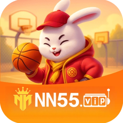 nn55 logo